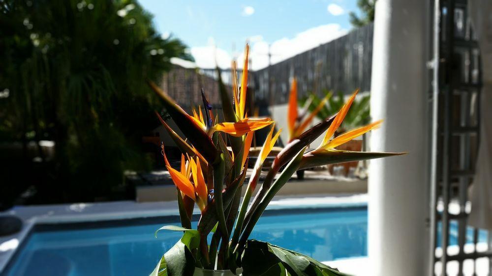 Jardin D'ebene Boutique Bed & Breakfast Cape Town